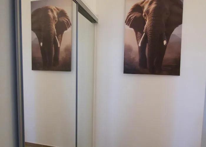 Elephant's Oasis *
